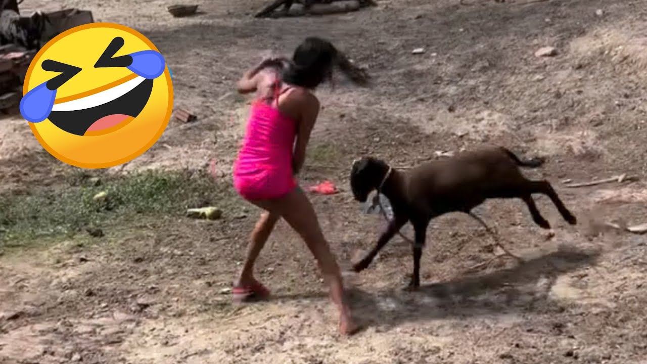 Best Funny Videos Of 2025 😂 Impossible Try Not To Laugh Challenge 🔥Epic Fails, Memes & Pranks 🎬Part1
