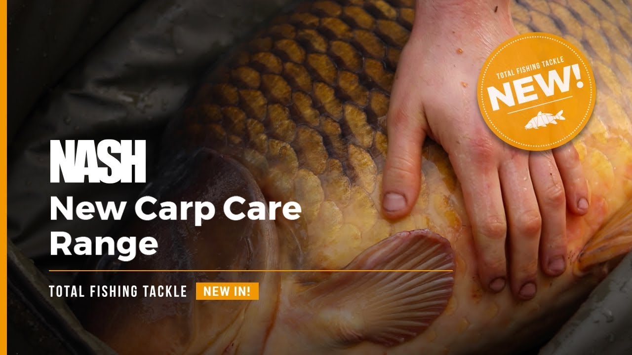 NEW | Nash Carp Corral & Sling | BIG Church Lake Common | Mike Wilson