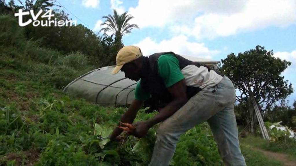Tonton LEON, un agriculteur bio qui fait de l'agrotourisme.