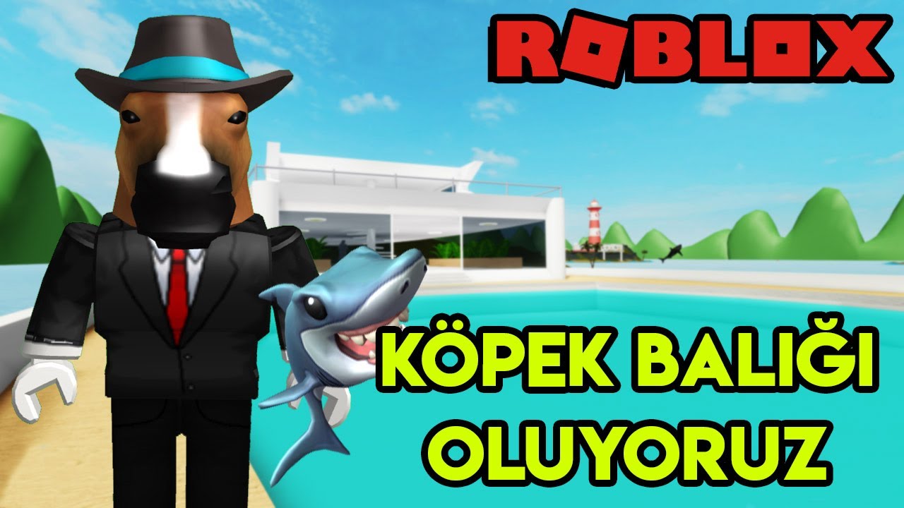🦈 Köpek Balığı Oluyoruz 🦈 | Sharkbite | Roblox Türkçe