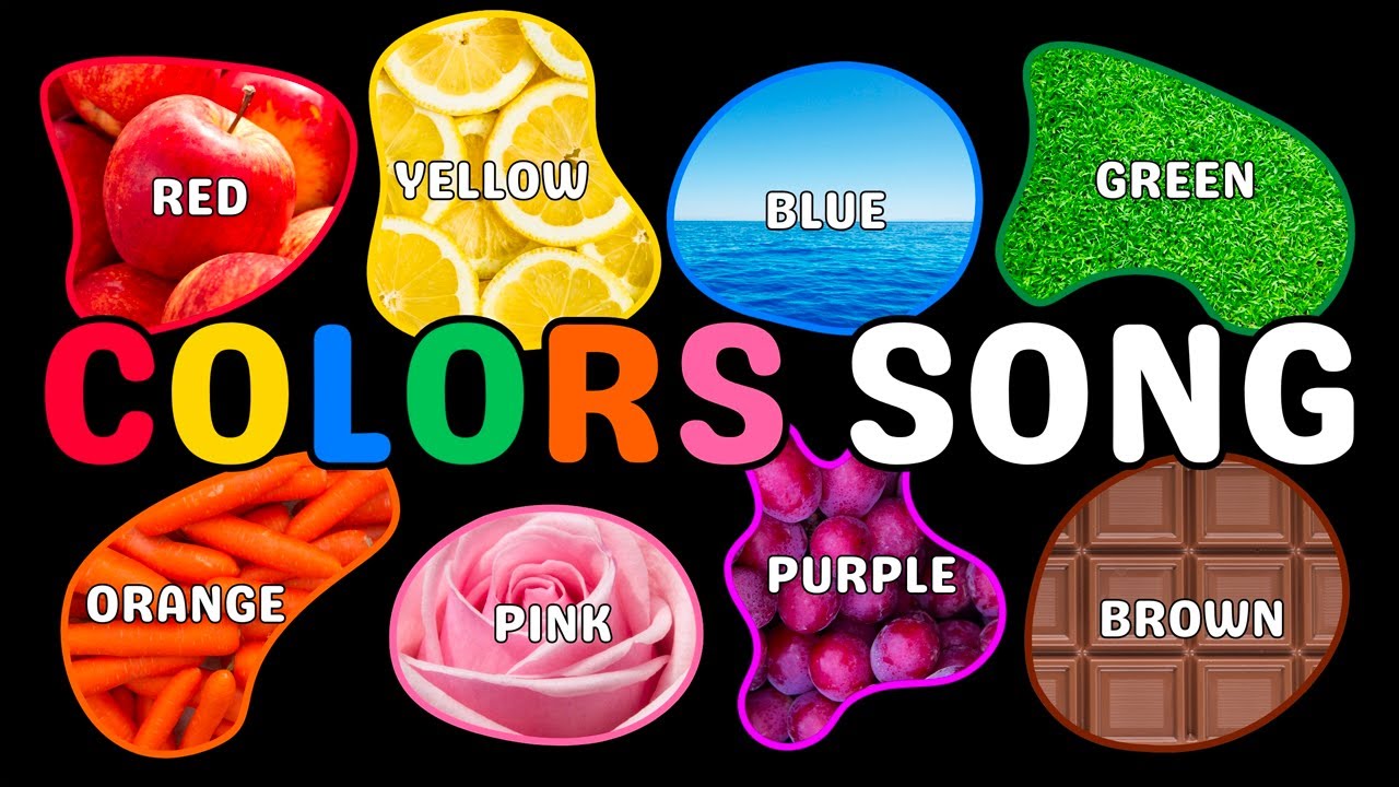 Fun and Educational Kids Song About Colors | Engaging Real-Life Videos for Learning