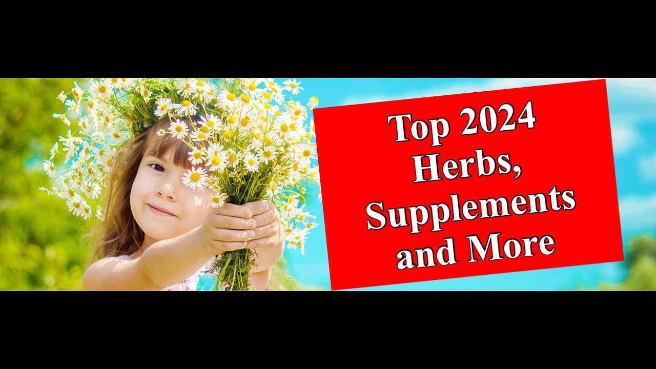 Top 2024 Herbs, Supplements, and More