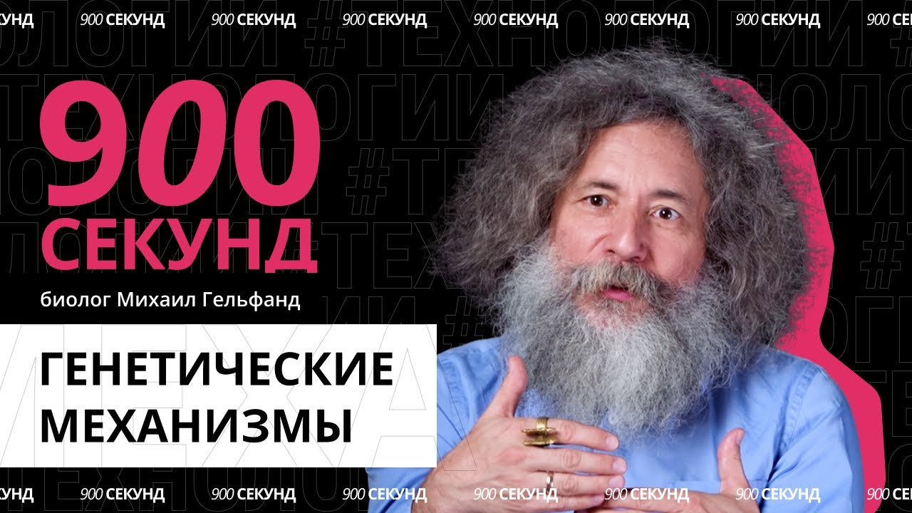 Как работают гены? Узнай за 900 секунд!