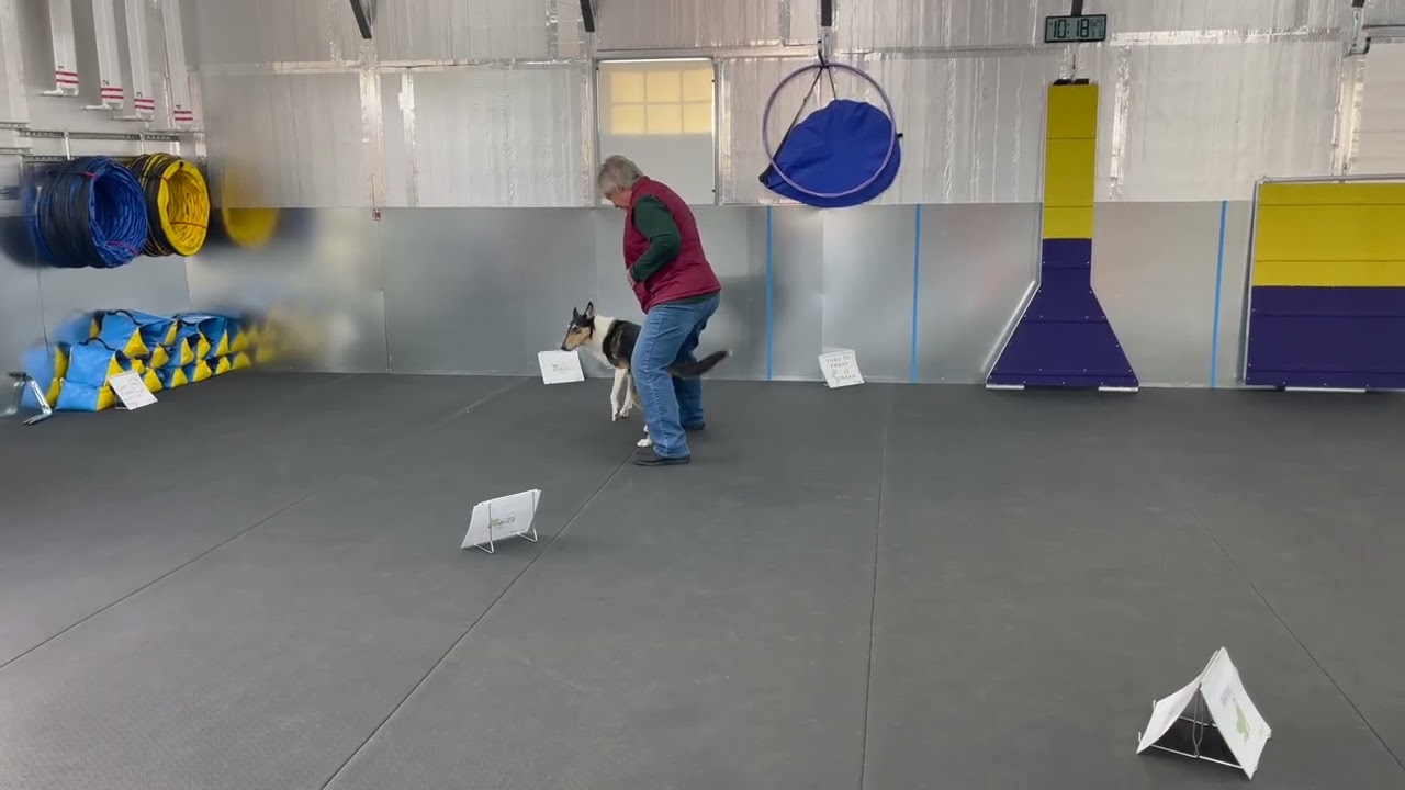 RFE TMG Grand Ch Tali 2026