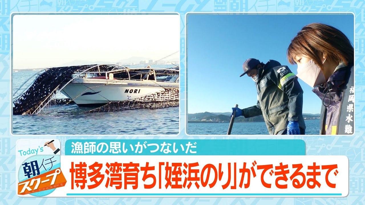 漁師の思いがつないだ　博多湾育ち「姪浜のり」ができるまで
