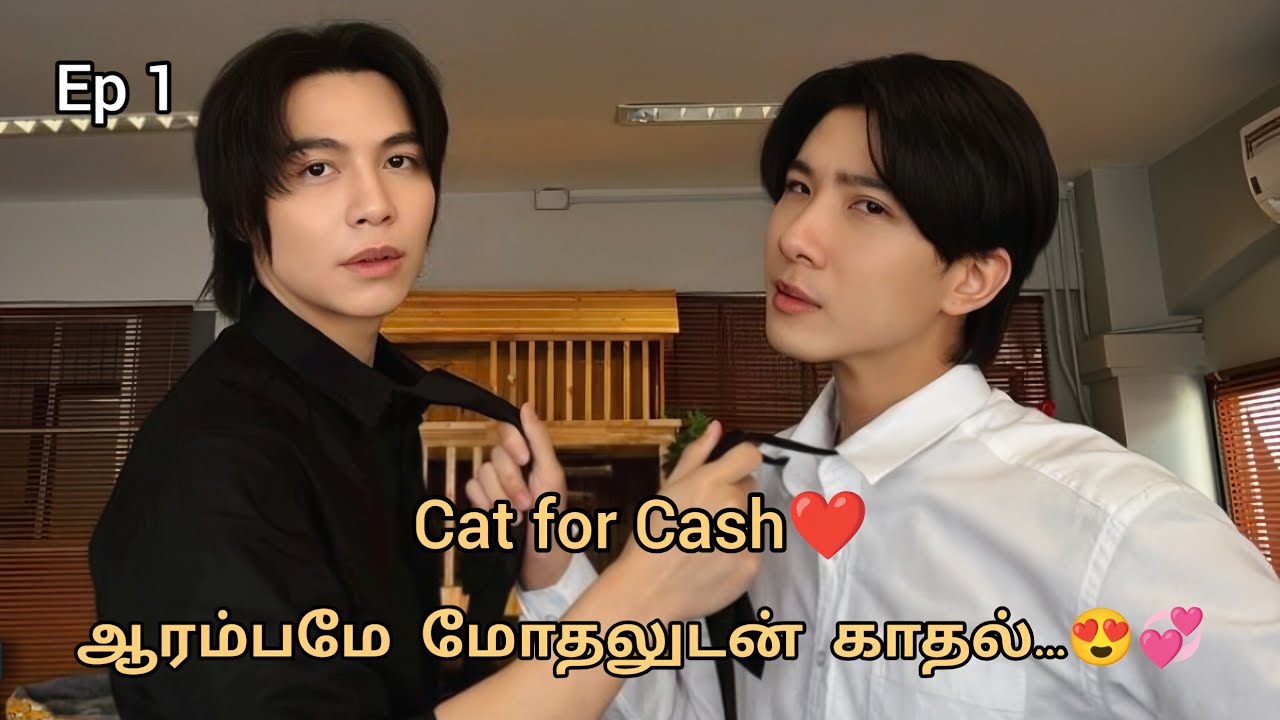 நீ நான் அன்பே...😍💞Thai new bl series drama tamil voice over#tamilexplanation #youtubeshorts#trending