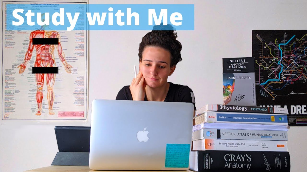 study with me live 10ish hours