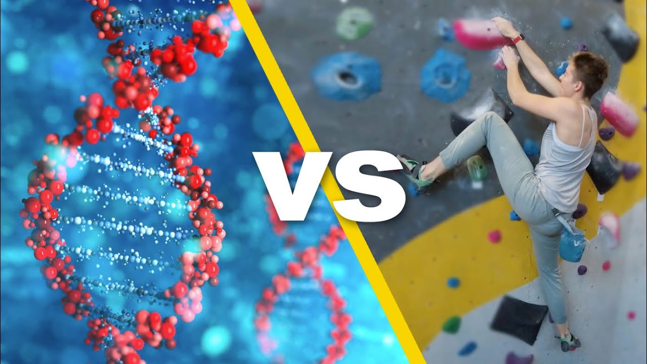 Is Your Max Climbing Grade Determined at Birth?