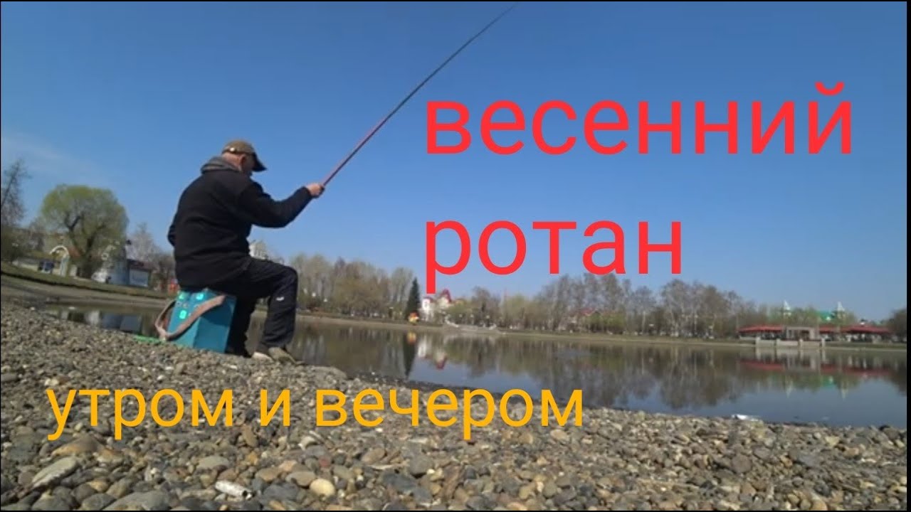 Весенний ротан.Утренний со льдом,вечерний без льда.
