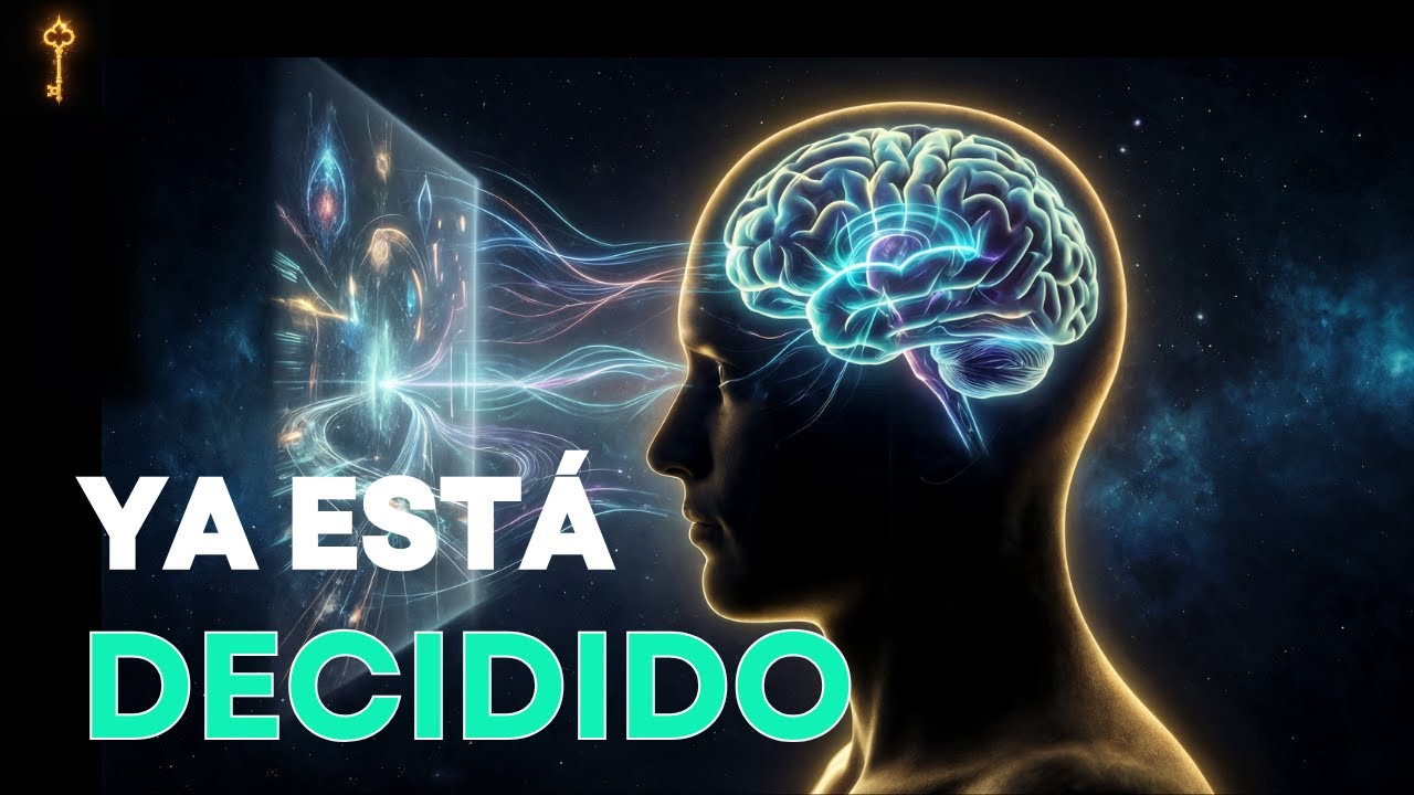 Tu Cerebro Decide Antes De Que Tú Creas Elegir
