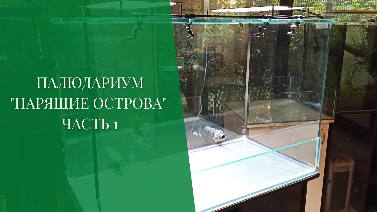 Палюдариум 