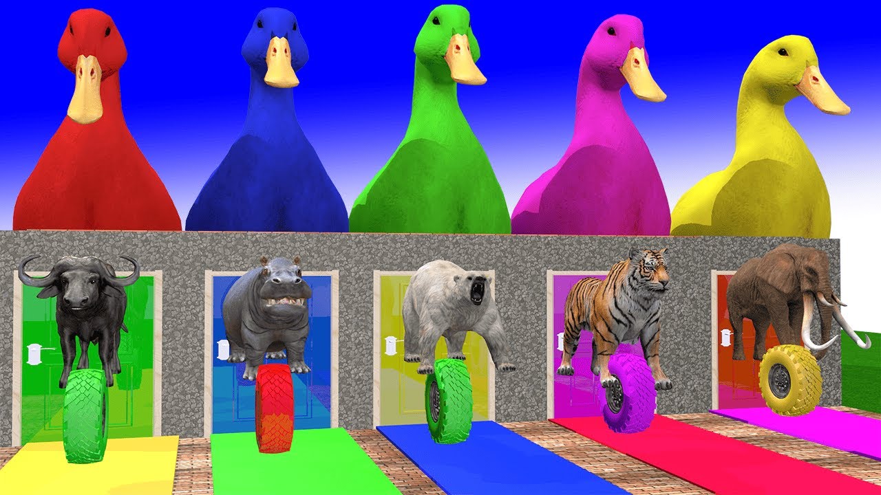 Long Slide Game With Elephant Gorilla Buffalo Hippopotamus Tiger 3d Animal Game Funny 3d Animals