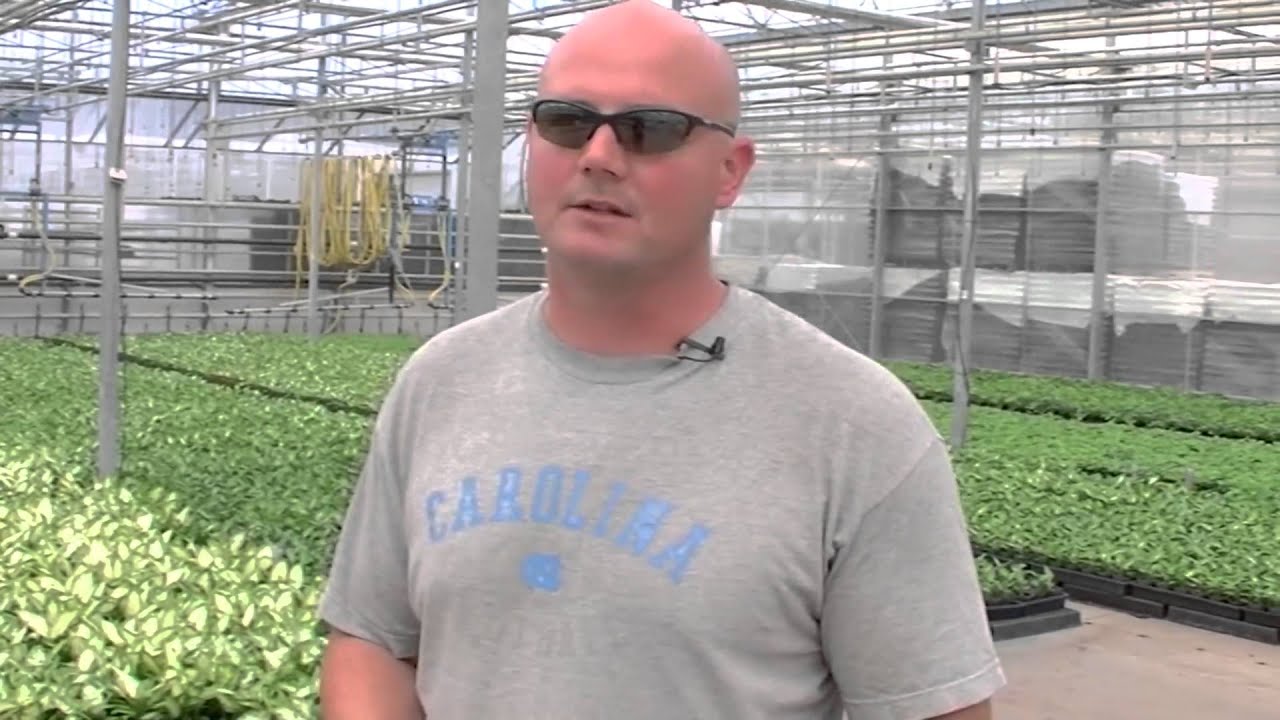 GGS Success Stories - Hendriks Greenhouses