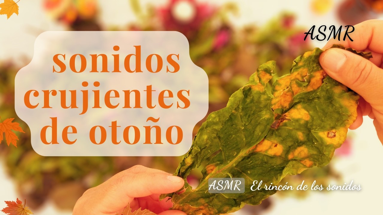 Sonidos de otoño 🎃 ASMR triturando hojas secas con las manos
