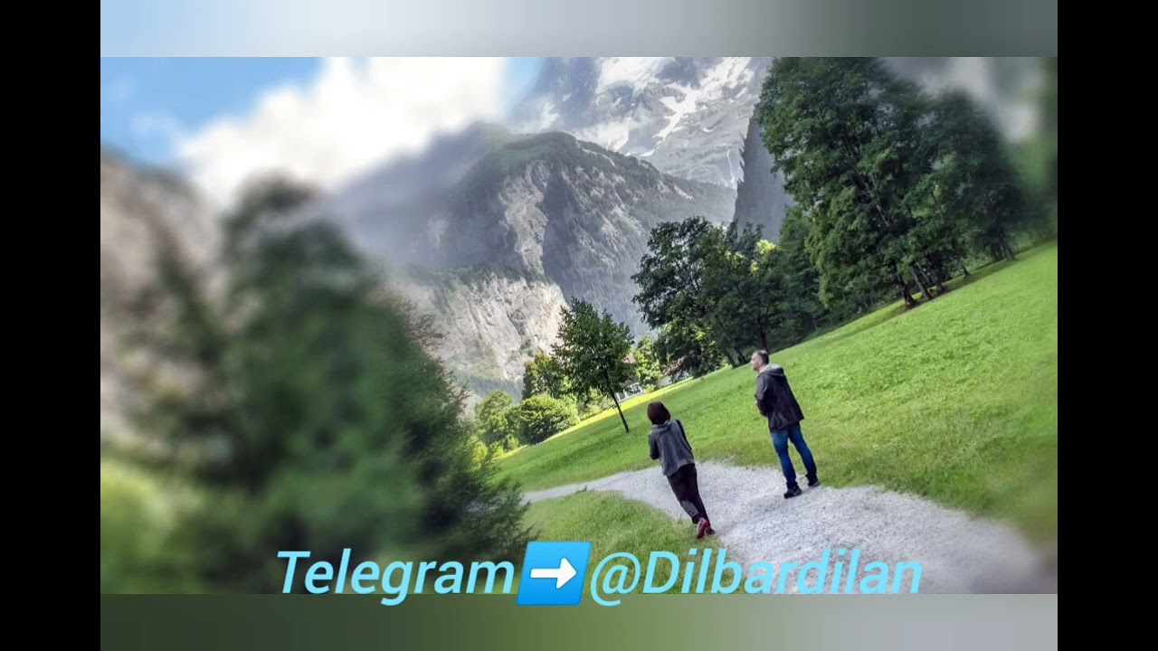 Tushda YO'LİNİ YO'QOTİB QO'YSA nima bo'ladi❓