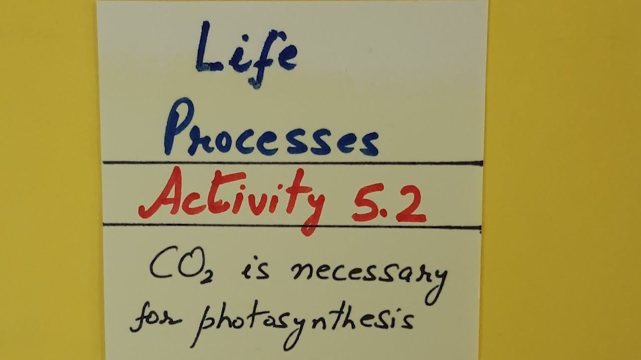 Class 10th Science Biology Activity 5.2 Life Processes by Shilpa Chaudhary