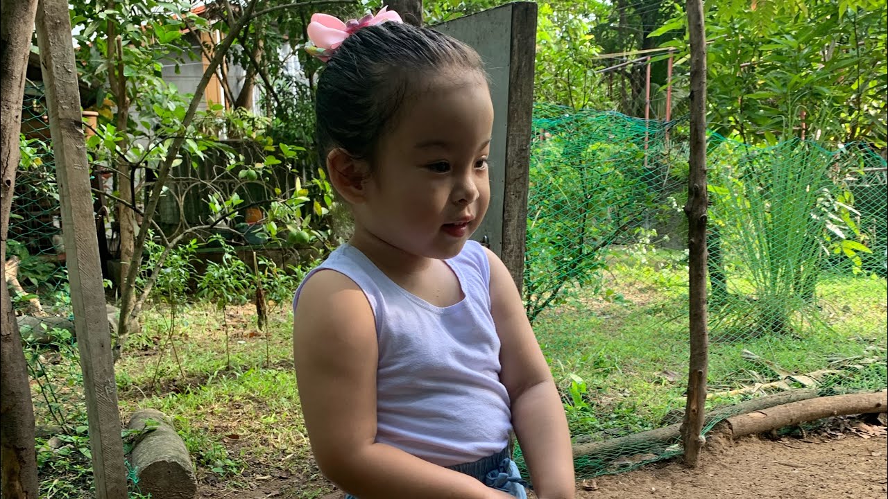 lets feed the ducks 🦆