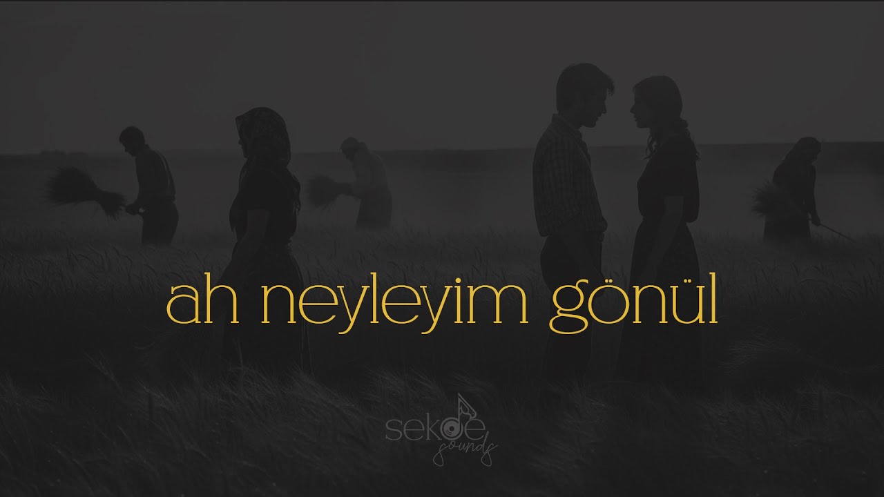 Ah Neyleyim G&ouml;n&uuml;l - Psychedelic Anatolian Rock Cover
