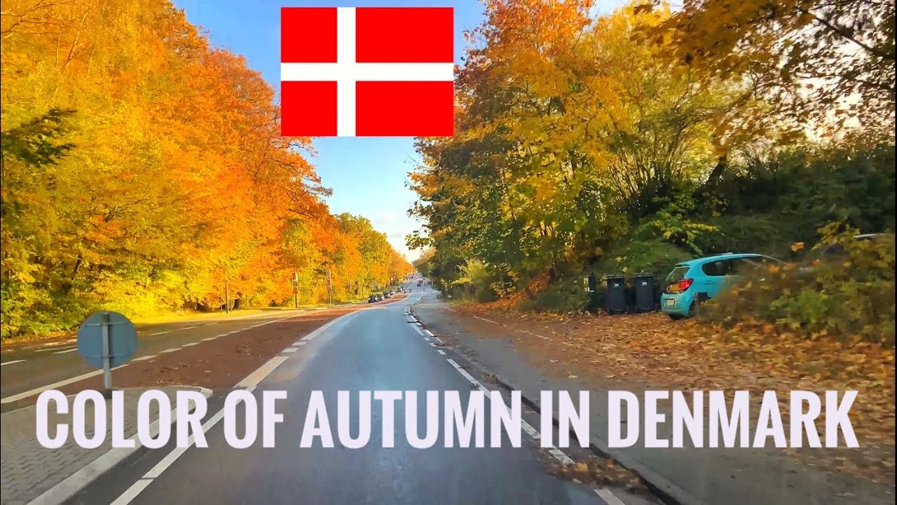 Color of AUTUMN in Denmark - driving trip - 4K UHD 60fps