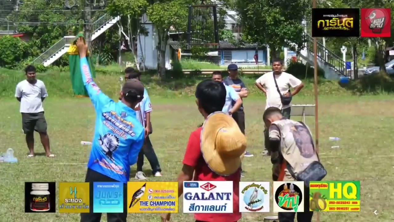 (ไฮไลท์ยกชิง)แข่งนกกรงหัวจุกวีไอพีจุกมิราเคิลจังหวัดตรัง(แข่งขันวันที่ 9-08-2568)