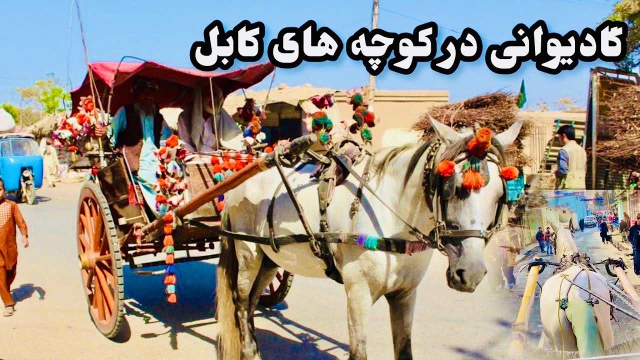 سفر خاص در دل کابل با گادیوان🐴 | ولاگ متفاوت افغانستان