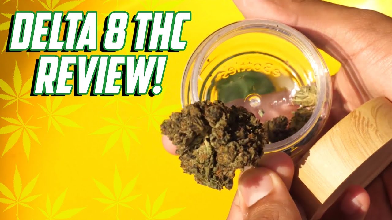 Trying Legal Weed In Florida! (DELTA 8 THC REVIEW)
