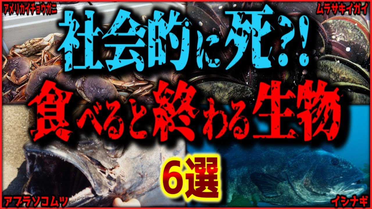 【閲覧注意】記憶喪失?!社会的な終わる?!食べたらヤバイことになる生物 6選【ゆっくり解説/作業用BGM/睡眠用/9割が知らない】