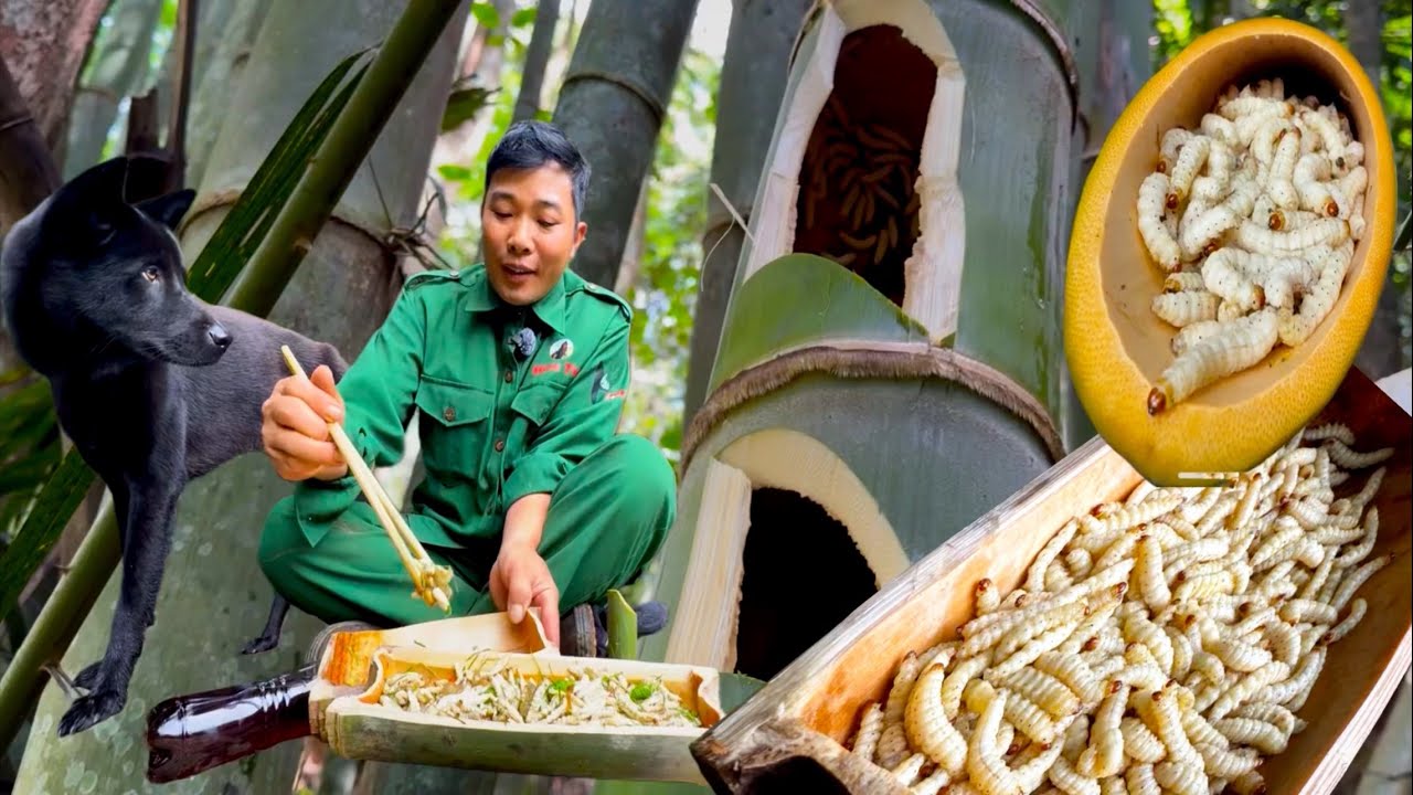 Bất Ngờ Khu Rừng Sau Cơn Bão , Đào Trúng Thần Dược Xáo Tam Phân , Béo Ngậy Sâu Tre -Hieu TV