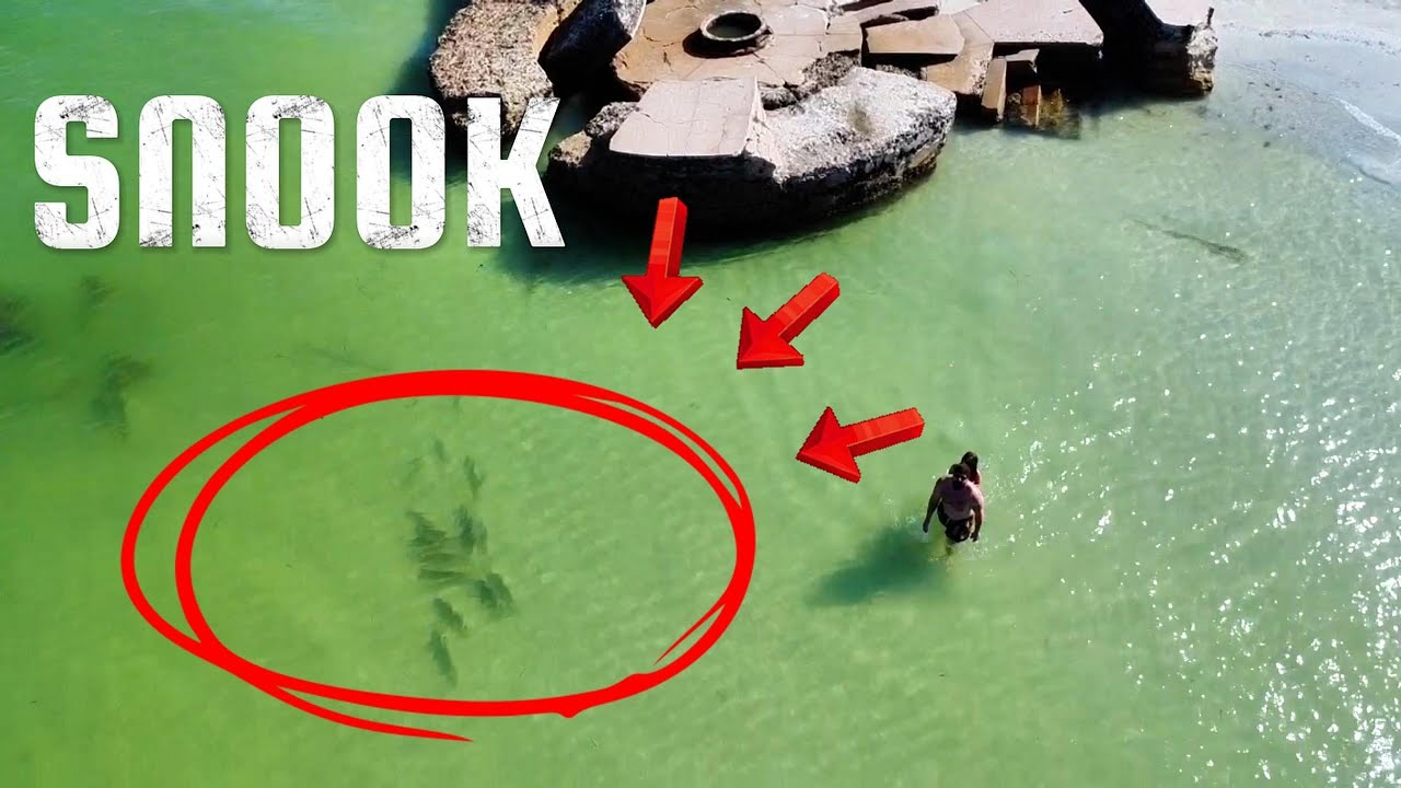Snook Spotted from Drone... Then This Happened 😳 | Fort De Soto Fishing
