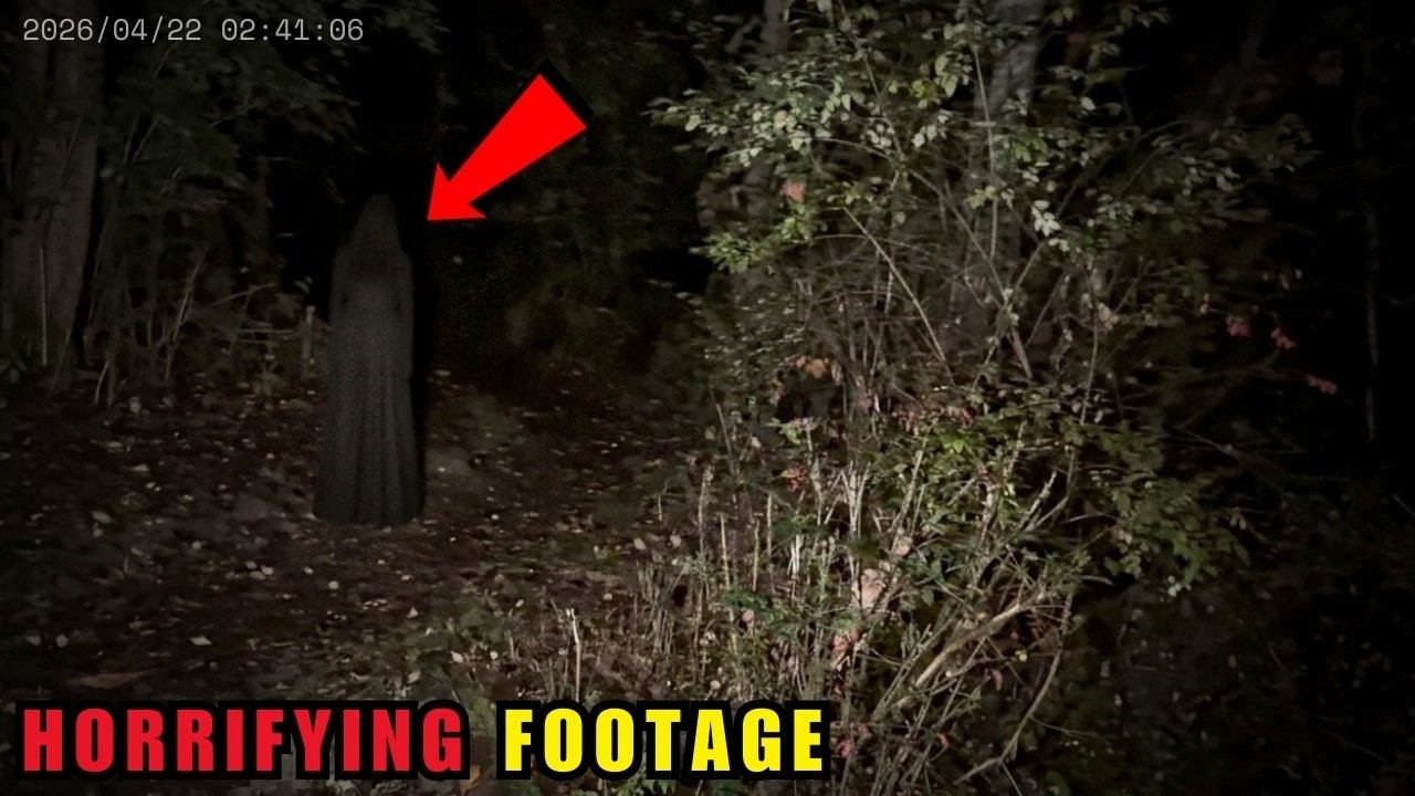2 Hours of Most DISTURBING Wilderness Encounters Caught on Camera
