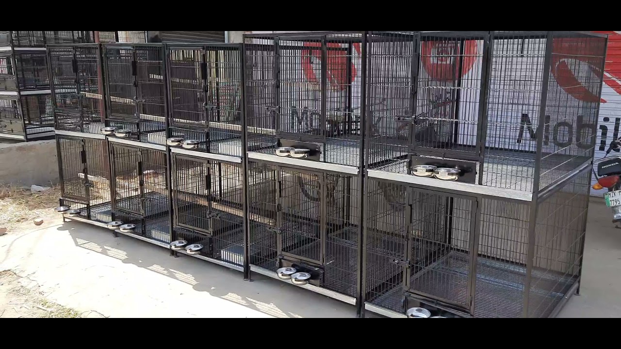 Breeding Cages Standard Size For Raw Parrot African Gray Ringneck And Pigeons Cages Going To Gujrat