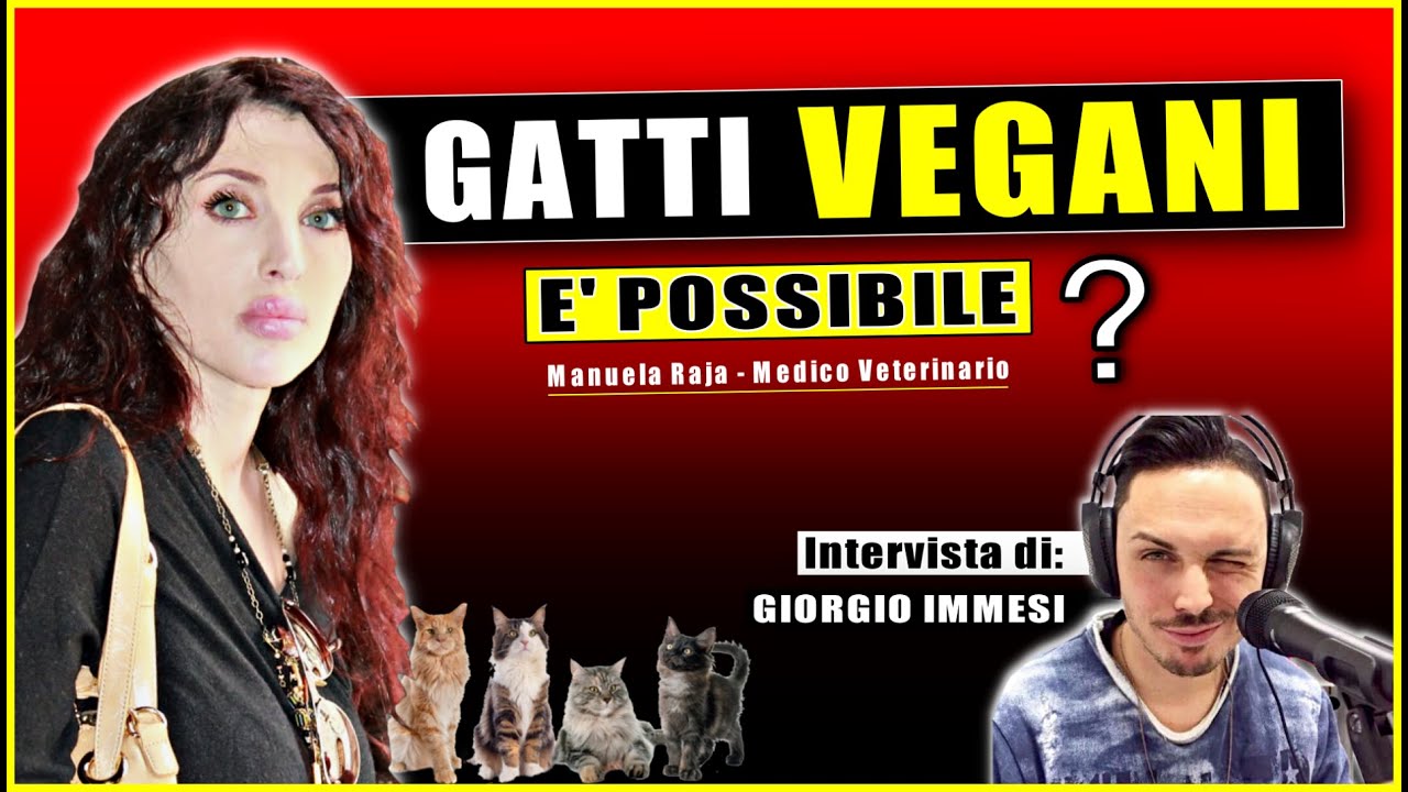 GATTI VEGANI ?? - Intervista al Medico Veterinario Manuela Raja - Video di Giorgio Immesi