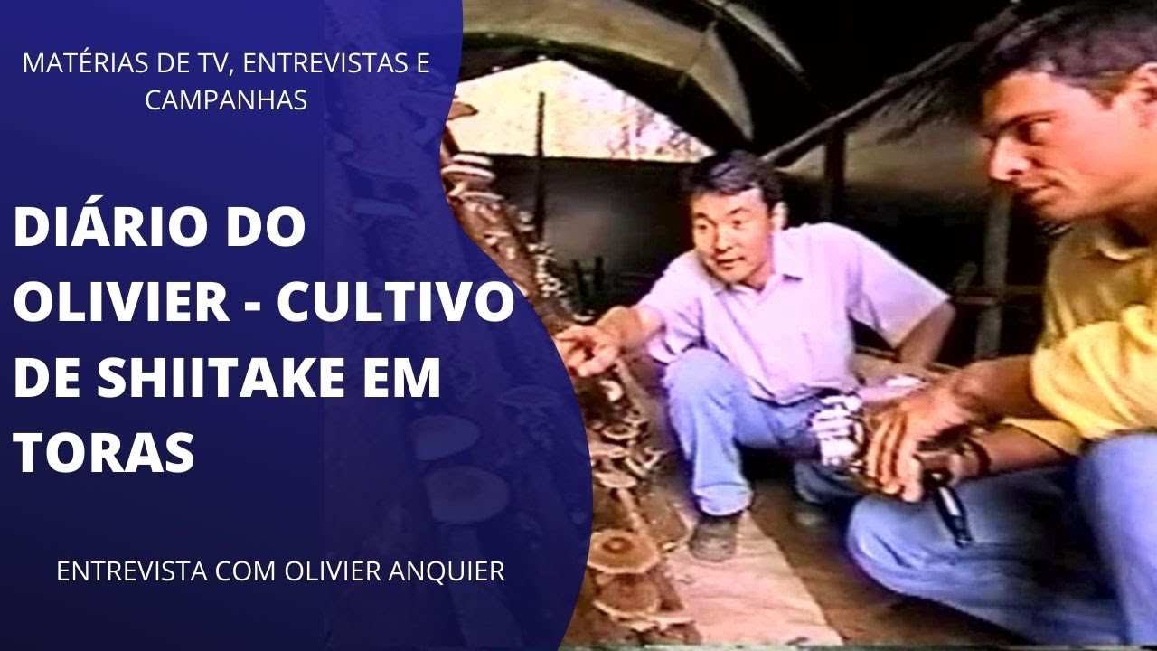 Olivier Anquier Entrevista o Zootecnista Carlos Abe - Cultivo de Shiitake em Toras