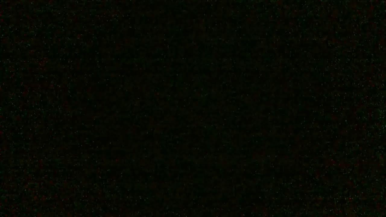 Live of 16th of February