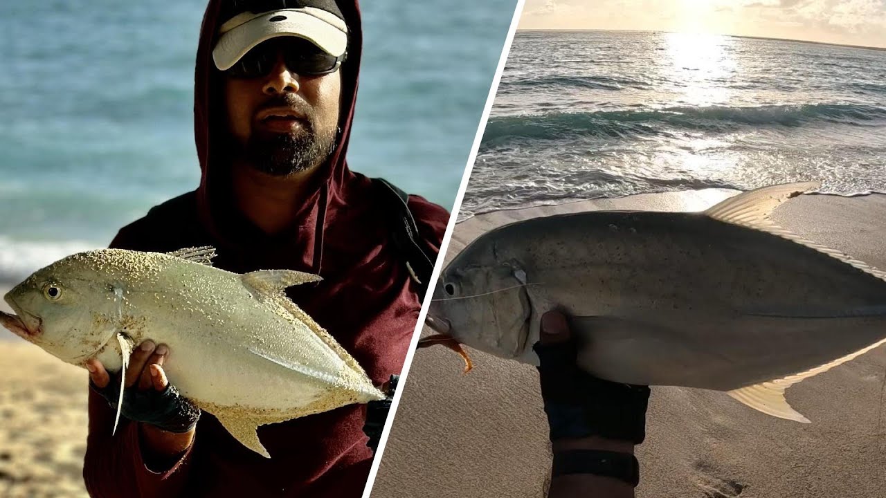 Rodrigues 2023 Last Day : Shore Casting for Trevally.. Sharing the catch!!