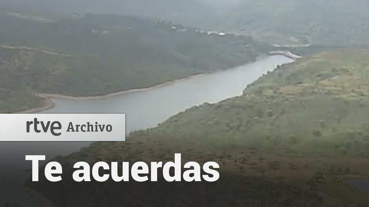 ¿Te acuerdas? Los inicios de la reforestación | RTVE Archivo