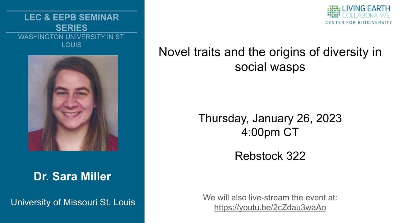 Dr. Sara Miller - Novel traits and the origins of diversity in social wasps