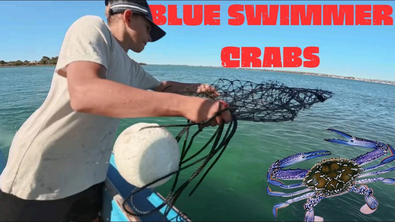 WRESTLING BLUE CRABS IN THE LESCHENAULT INLET! What happens next is crazy!
