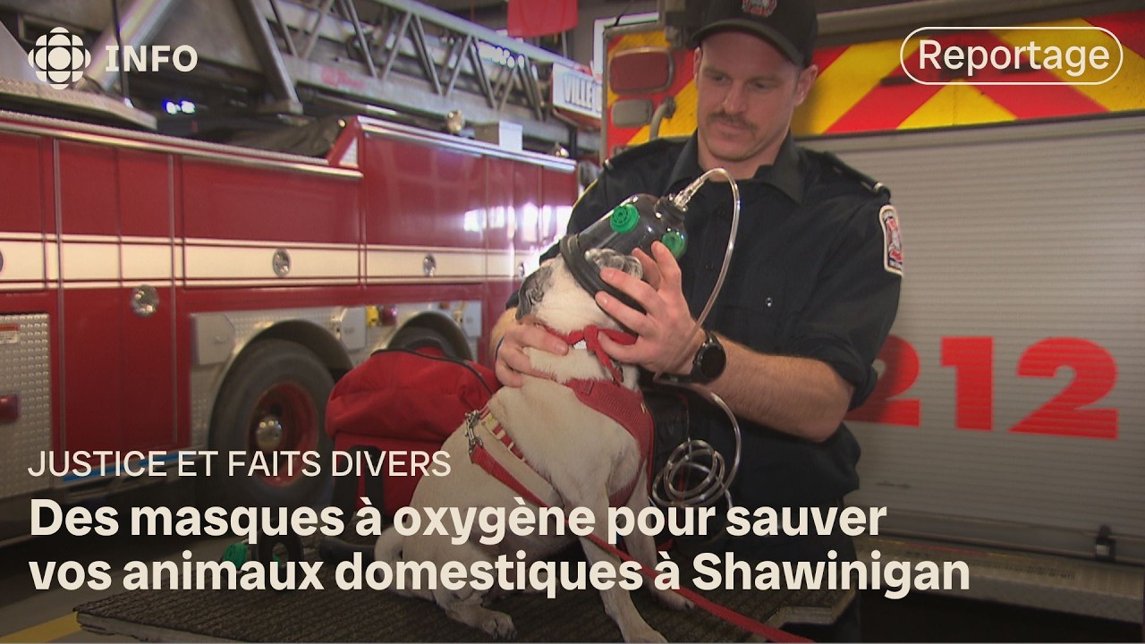 Shawinigan déploie des masques à oxygène pour sauver les animaux lors des incendies