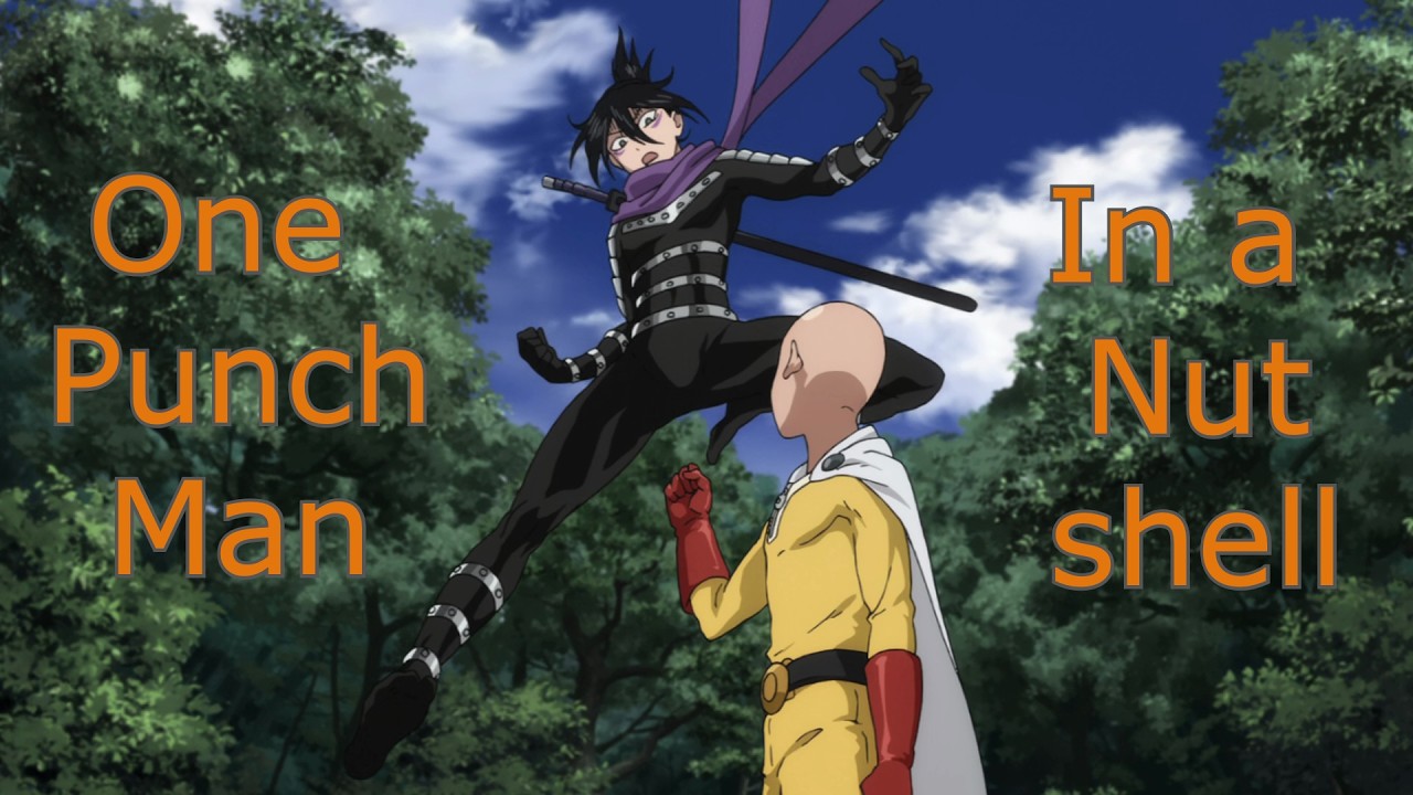 Saitama in a Nutshell