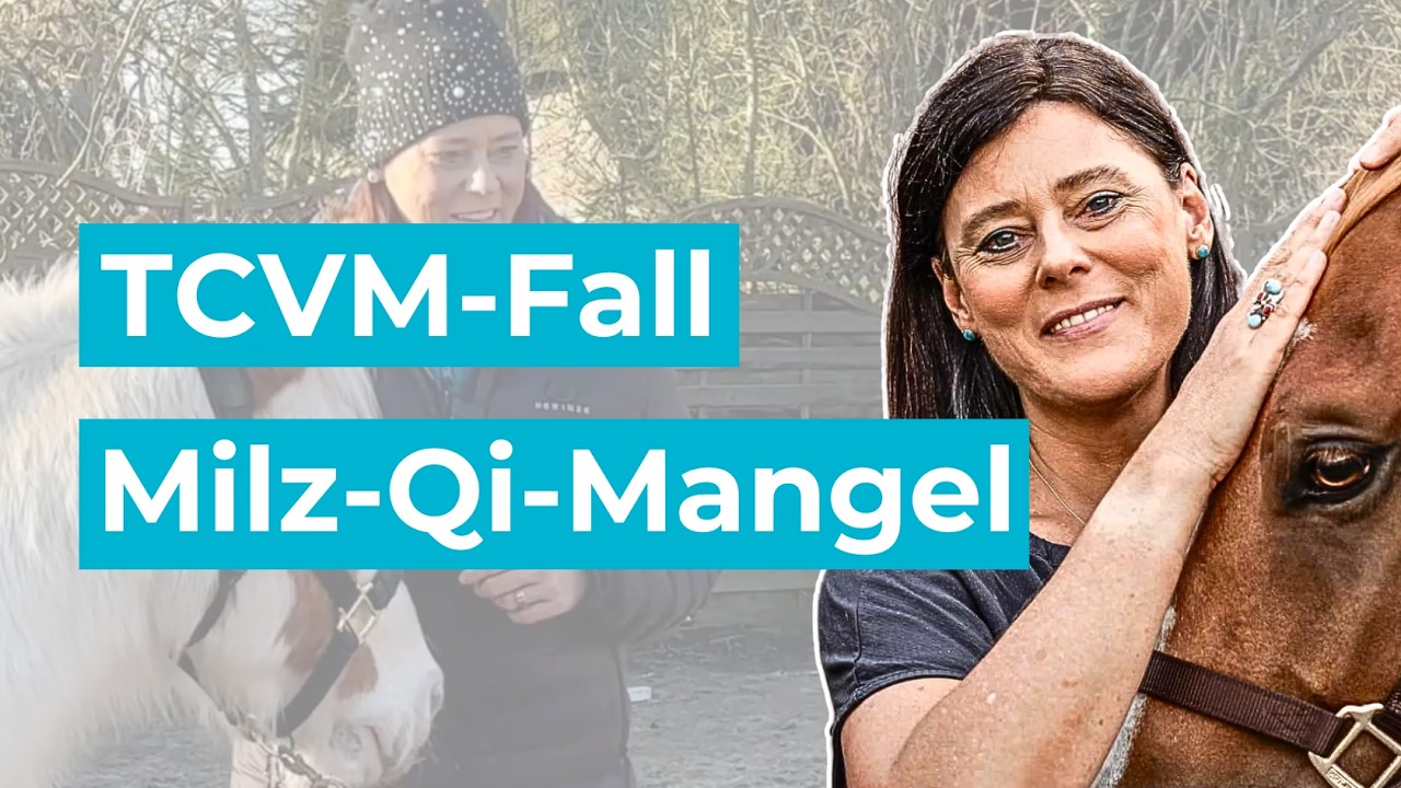 TCVM Fall Milz-Qi-Mangel