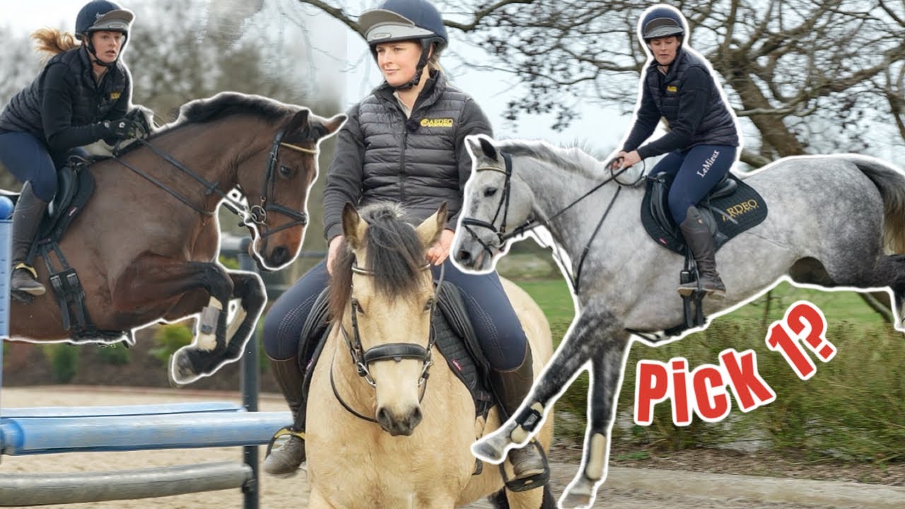 *IMAGINARY* Pony shopping in Ireland