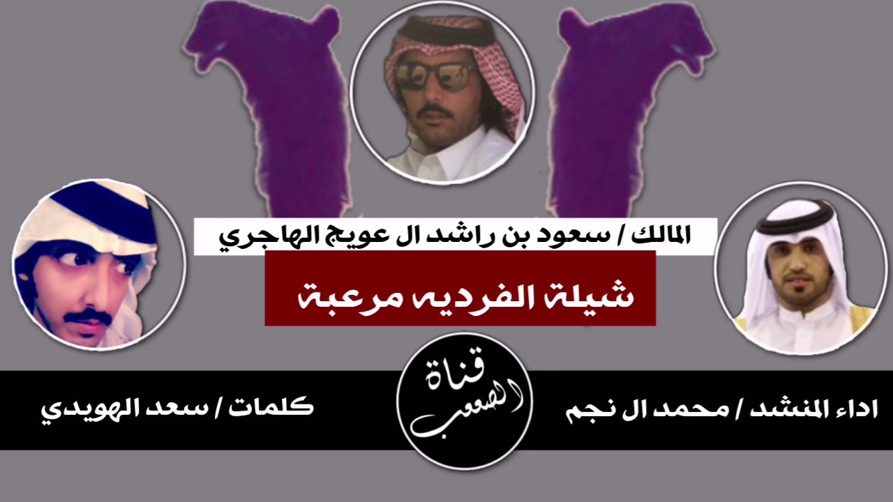 شيلة | الفرديه مرعبة المالك سعود بن راشد بن عويج الهاجري