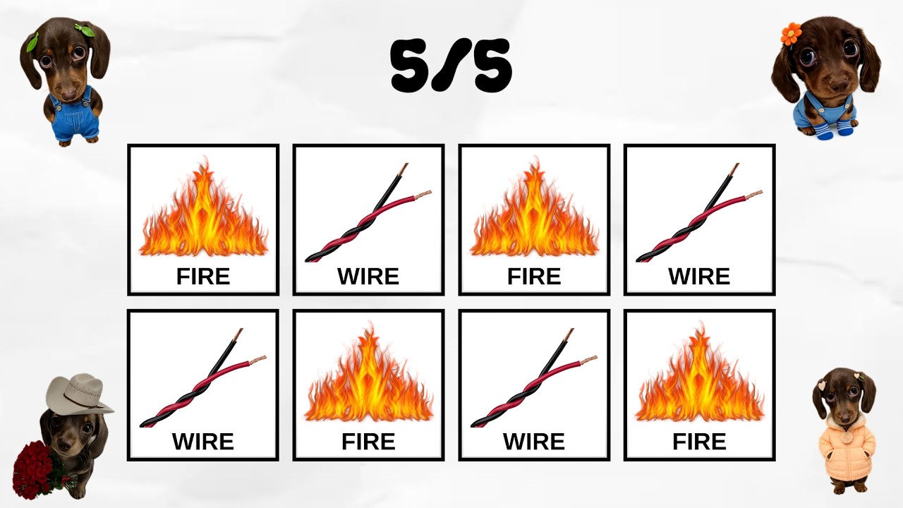 Say The Word On Beat | Challenge | Level 1-5 | Easy To Impossible