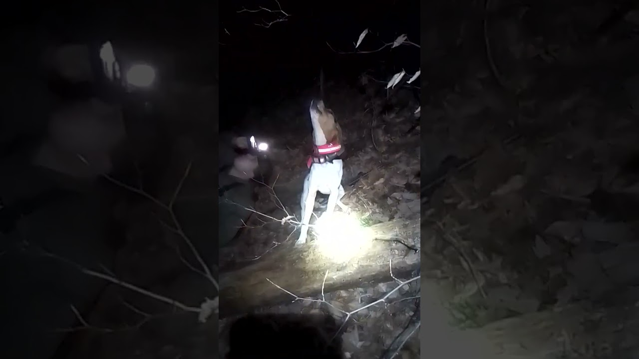 Номер два сегодня вечером