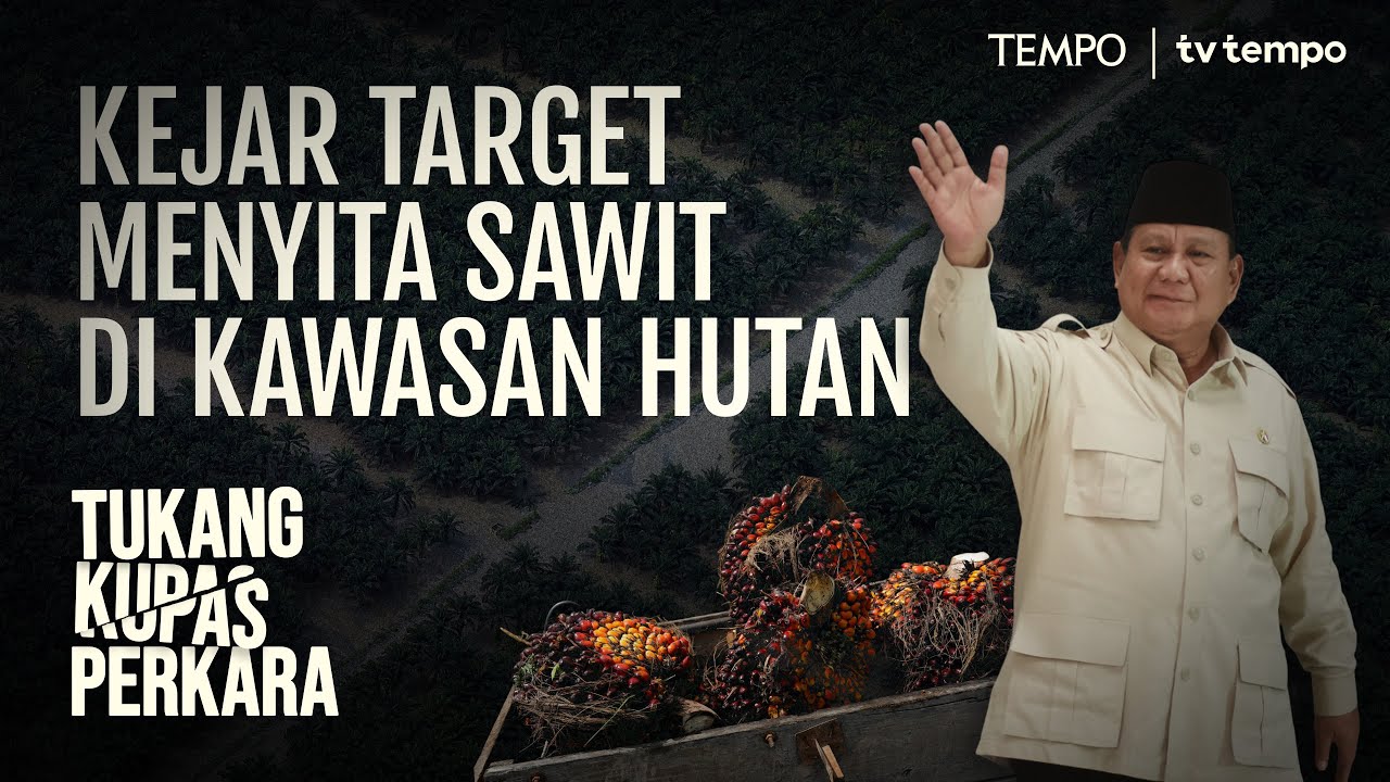 Ragam Masalah Satgas Penertiban Kawasan Hutan | Tukang Kupas Perkara