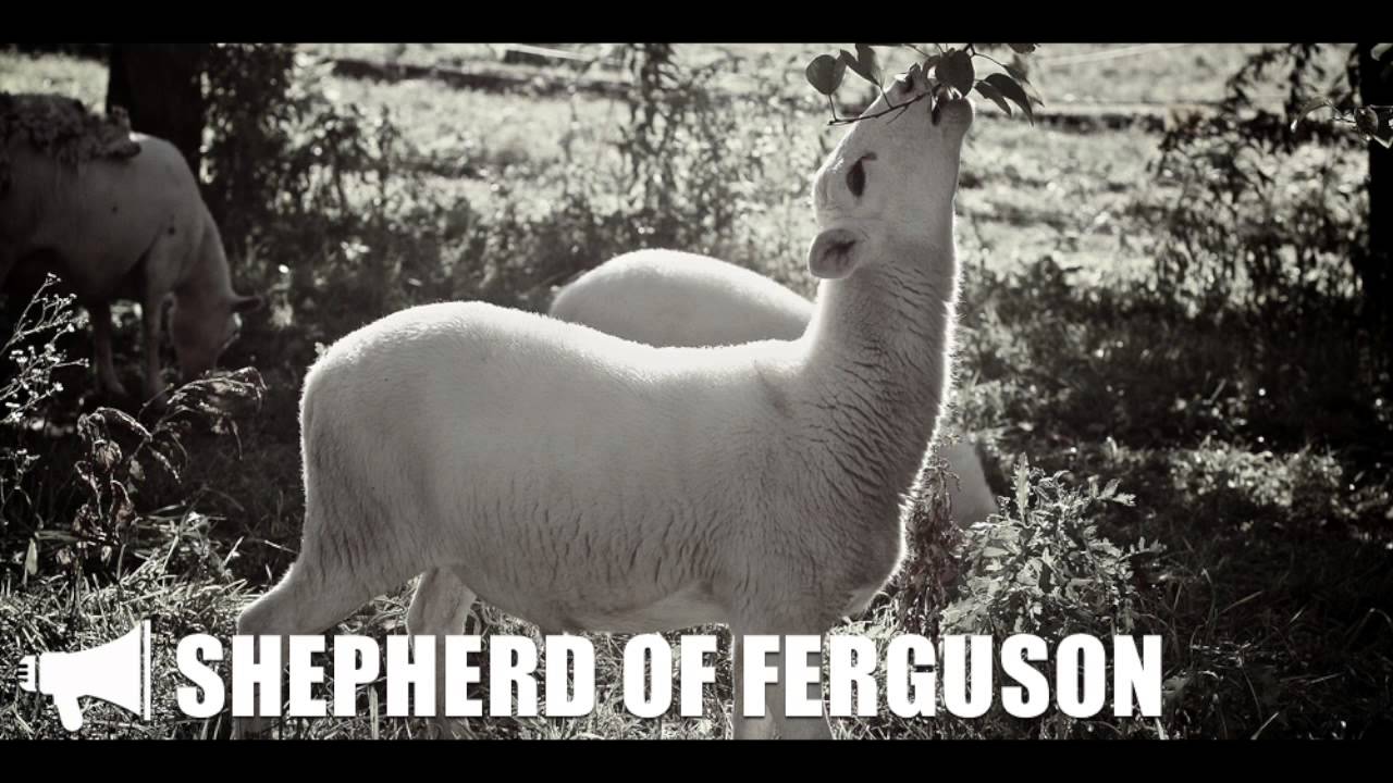Shepherd Of Ferguson