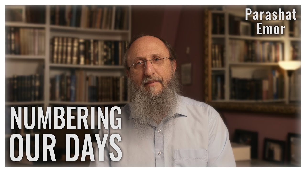 Parashat Emor 5784 | The Infinite Value of Each Moment