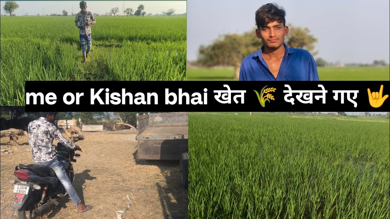 आज Me or Kishan bhai खेत 🌾 देखने गए 🤟 full watching video 😃