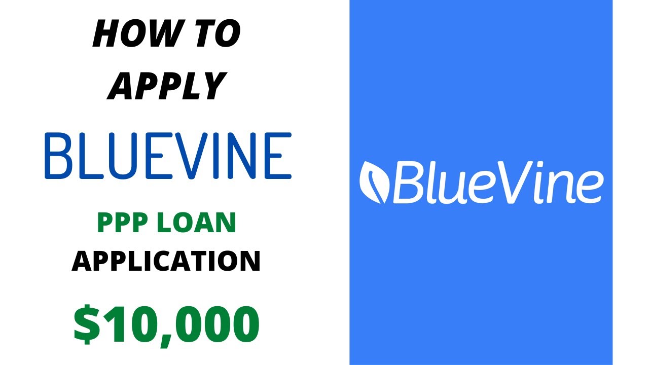 Заявка на получение кредита BlueVine PPP (10 000 долларов) | Простой способ подачи заявки
